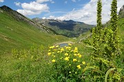 75 Botton d'oro con vista sul Lago Branchino